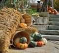 Fall Harvest Outdoor Decorations Royalty Free Stock Photo