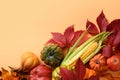 Fall harvest, pumpkins, apple, corncob, colorful grape leaves on orange background with space for text. Thanksgiving Day Royalty Free Stock Photo