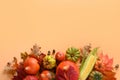 Fall harvest, pumpkins, corncob, colorful leaves on orange background with space for text. Autumn, Thanksgiving Day mock up. View Royalty Free Stock Photo
