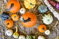 Fall harvest pumpkins, gourds and bicolor corn seen from above o Royalty Free Stock Photo