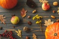 Fall harvest on rustic wood top view. Pumpkins, autumn leaves, apples, anise, cones, acorns and flowers on dark wooden background Royalty Free Stock Photo