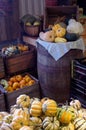 Fall Harvest Store