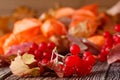 Fall harvesting on rustic wooden background