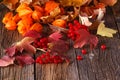 Fall harvesting on rustic wooden background