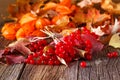 Fall harvesting on rustic wooden background