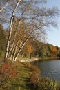 Fall at Hidden Lake Gardens