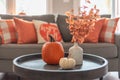 Fall home decor in gray and orange tones Royalty Free Stock Photo
