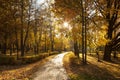 Fall in the Izmaylovsky park Royalty Free Stock Photo