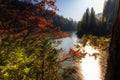 Fall at Lake McCloud Royalty Free Stock Photo