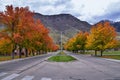 Fall landscape, bright orange red yellow leaves on trees lining road. Colorful fall city park, fall background up State Street Royalty Free Stock Photo
