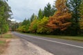 Fall landscape of countryside road and colorful autumn trees along the road