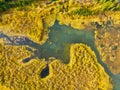 Fall landscape. A drone view of the river and lake in the woods. An aerial view of an autumn forest. Royalty Free Stock Photo