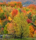 Fall landscape eastern townships