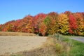 Fall landscape eastern townships Quebec Royalty Free Stock Photo