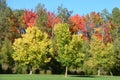 Fall landscape eastern townships Quebec Royalty Free Stock Photo