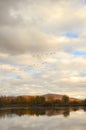 Fall landscape with flying gooses 3