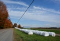Fall landscape hay bales Royalty Free Stock Photo