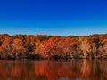 Beautiful fall landscape with trees and lake on a clear day Royalty Free Stock Photo