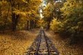 Fall landscape, Railway tracks running through autumn forest Royalty Free Stock Photo