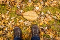 fall leaf amongst leaves on ground in front of womans feet in the fall Royalty Free Stock Photo