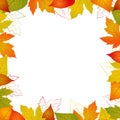 Fall leaf border Royalty Free Stock Photo