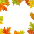 Fall leaf border Royalty Free Stock Photo