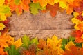 Fall leaf border Royalty Free Stock Photo