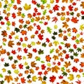 Fall leaf border. Season leaves fall background. Autumn yellow red, orange leaf isolated on white. Colorful maple seamless pattern Royalty Free Stock Photo