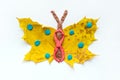 Fall Leaf Crafts for Kids. Craft handmade butterfly from dry yellow leaves and red, brown and blue plasticine, modeling clay. Ide