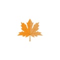 Fall leaf icon design template vector isolated illustration Royalty Free Stock Photo