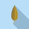 Fall leaf icon flat vector. Autumn tree Royalty Free Stock Photo