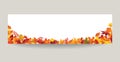 Fall leaf nature banner. Autumn leaves background. Season floral