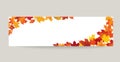 Fall leaf nature banner. Autumn leaves background.