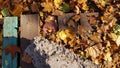 Fall leaf pile at distressed wood planks