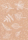 Fall leaf print on white paper image of abstract drawing handmade Kraft paper postcard tree leaves nature white lines