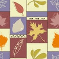 Fall leaf seamless pattern over square color blocks