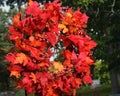 Fall Leaf Wreath