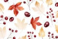 Fall leave. Harvest pattern. Watercolor autumn seamles. Vector illustration design