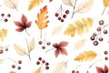 Fall leave. Harvest pattern. Watercolor autumn seamles. Vector illustration design