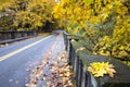 Fall Leaves Along Historic Columbia Highway Bridge