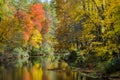 Fall leaves along Linville River