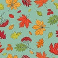 Fall of the leaves. Background with hand drawn leaves. Seamless pattern for textile, wallpapers, gift wrap and scrapbook. Royalty Free Stock Photo
