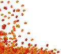 Fall Leaves Background Royalty Free Stock Photo