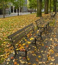 Fall Leaves on Benches Along Park 2 Royalty Free Stock Photo