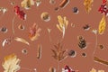 Fall leaves, berries, acorns, anise , pine cones on awkwardly painted brown background Royalty Free Stock Photo