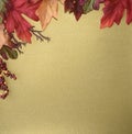 Fall Leaves Berries and Twigs Frame on Dark Yellow Blank Background Royalty Free Stock Photo