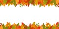 Fall leaves border autumn background. Leaf frame banner for thanksgiving, school. October floral backdrop. Foliage design postcard Royalty Free Stock Photo