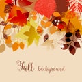 Fall leaves in bright autumnal colors background Royalty Free Stock Photo