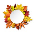 Fall leaves composition. Paper cut frame with autumn falling yellow foliage, seasonal floral botanical elements below