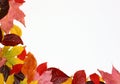 Fall Leaves Corner Royalty Free Stock Photo